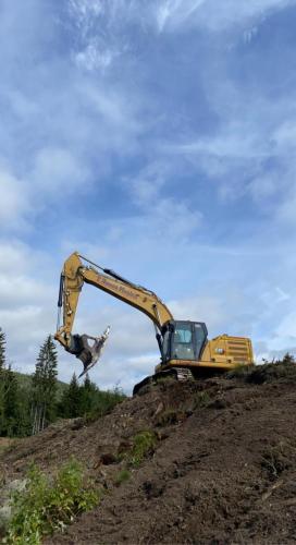 Nyland og planering
